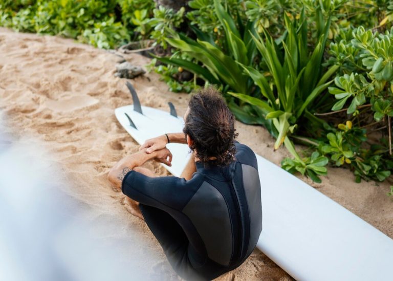 high-view-surfer