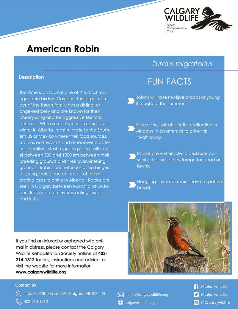 global-wildrobin